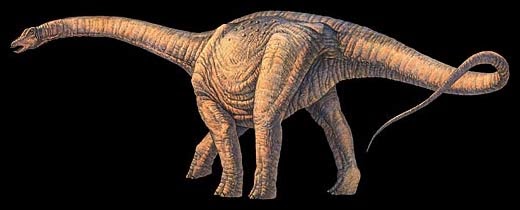 argentinosaurus bones